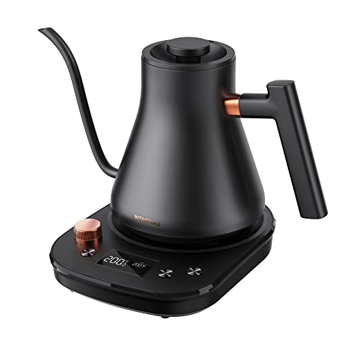 INTASTING Hervidor Eléctrico de Cuello de Cisne de 0.9 L con Control de Temperat